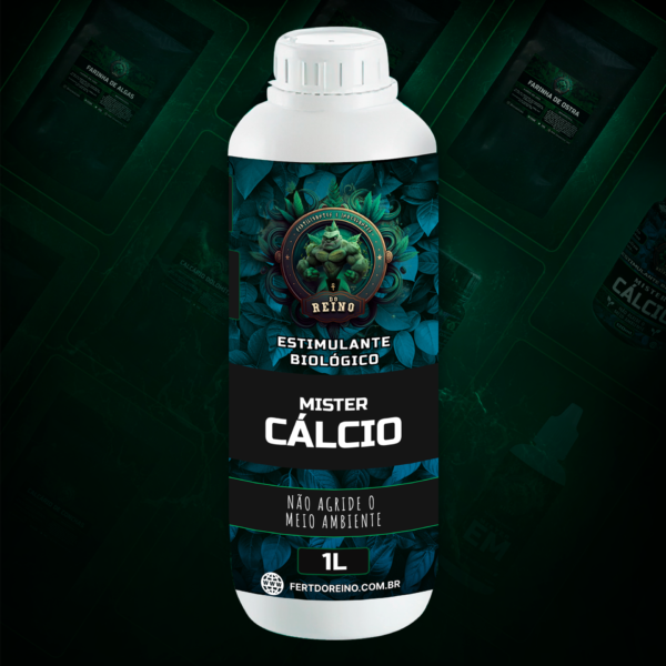 Mister Cálcio - WCA - KNF