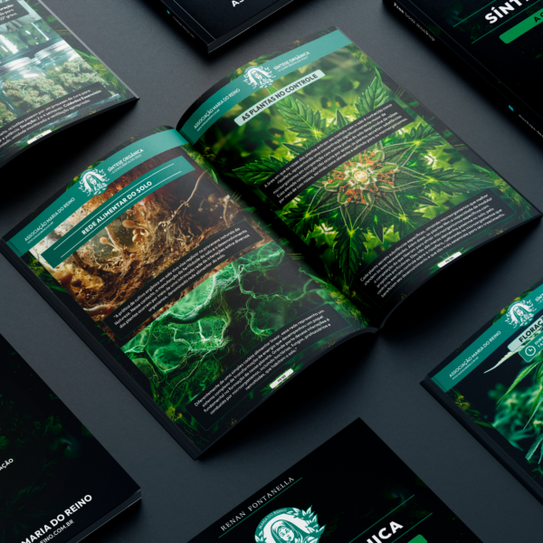 Livro Síntese Orgânica - A Consciência do Solo (PDF) - Image 2