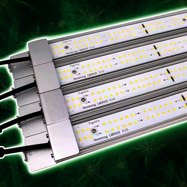 Quantum Bar Figolite Iluminação de LED Profissional, 240W LM301H EVO - Image 3