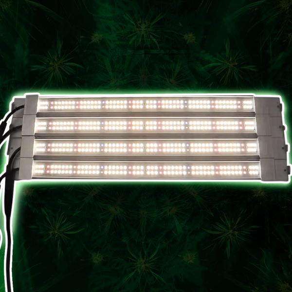 Quantum Bar Figolite Iluminação de LED Profissional, 240W LM301H EVO - Image 4