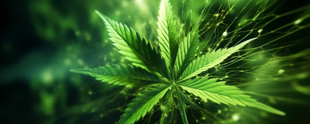 auraedl_cannabis_leaf_with_energy_surging_through_its_veins_blu_2c38e7be-9638-455f-9790-a76df121e830-min